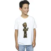 Marvel Jongens Ik Ben Groot Golf Positie T-Shirt (Wit)