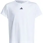 Adidas Functioneel shirt 'Essentials' zwart / wit
