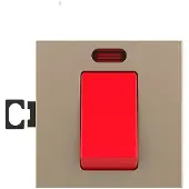 Livolo | Goud | 1 | Module | Aan/Uit | Dubbelpolige schakelaar | 16A -