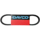 DAYCO Power Plus Cvt7198k Vario Riem