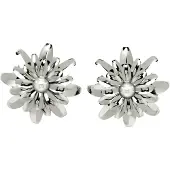 Avant Garde Oorbellen 'Veronikaia' zilver