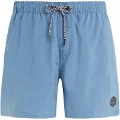 Protest Zwemshorts 'Davey' blauw / zwart
