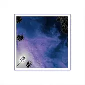 Pias Look Outside Your Window - Look Outside Your Window (CD)