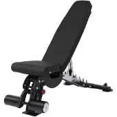 Taurus Studio Halterbank B950
