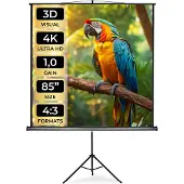 TecTake Projectiescherm - Homecinemaprojectorscherm met Statief - Geschikt voor HDTV - Diverse Maten - (152 x 152 cm | Nr. 402513)