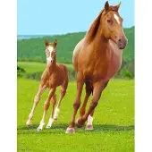 Sweet Home fleece plaid Paard en Veulen 100 x 140 cm