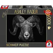 Schmidt Ashley Rader: Dominance - Widder, onder het teken van het vuur (1000 stukjes)