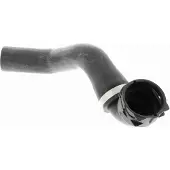 VAICO V48-0143 Radiateurslang