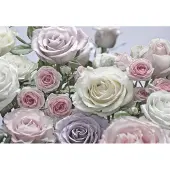 Overig Komar Fotobehang Floraison