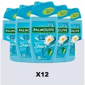 Palmolive 12x Douchegel Shower & Shave 250 Ml