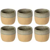 Costa Nova Bekers Arenito Sage Green 360 ml - 6 stuks