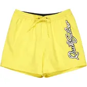 Quiksilver Everyday Malibu Volley 15´´ Zwembroek