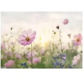 WALLARENA - Fotobehang - 400x280 cm - bloemen, natuur, slaapkamer, woonkamer, vliesbehang