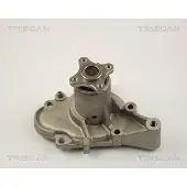 TRISCAN 8600 43002 Waterpomp
