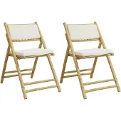vidaXL Bistrostoelen, 2 stuks, inklapbaar, met kussen, bamboe