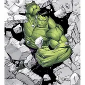 Overig Fotobehang Hulk Breaker - Groen - 2,80m X 250cm