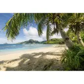 Overig Castaway Fotobehang - Meerkleurig - 2,54m X 368cm