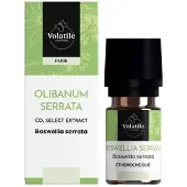 Volatile Olibanum serrata C02-SE
