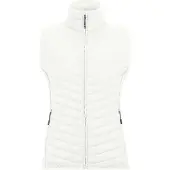 Regatta Dames/Dames Andreson Hybride Gilet (Wolk)