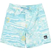 Quiksilver Everyday Printed Volley 14´´ Zwembroek