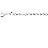 Trendjuwelier huiscollectie 1002206 Zilveren Ketting Jasseron 2,5 mm