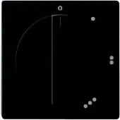 Busch Jaeger Centraalplaat | Busch-Jaeger | Future Linear | 3 standen (Zwart)