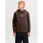 Jack & Jones Junior Sweatshirt 'JORNorrebro' chocoladebruin / wit