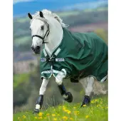 Horseware Original Turnout Lite met beenuitsparingen 0g-Green Silver-115-165