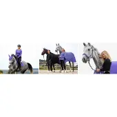 Eskadron SS'24 Dynamic Mesh Dressuurdekje - Purple - Pony