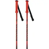 Rossignol Hero Junior Stokken