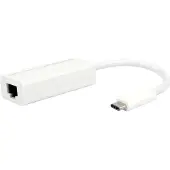 Roline USB 3.2 Gen 2 naar Gigabit Ethernet Converter
