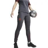 Puma Dames/Dames Manchester City FC Tapered Joggingbroek (Grijs)