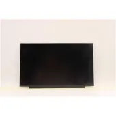 Lenovo DISPLAY FRU BO NV156FHM T07 8.3 FHDI AGT, Onderdelen voor notebooks
