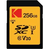 Kodak EKMSD256GXC10HPRK flashgeheugen 256 GB SDXC UHS-I Klasse 10