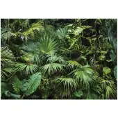 WALLARENA - Fotobehang - 350x250 cm - Dschungel, tropisch, bladeren, slaapkamer, woonkamer