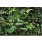 WALLARENA - Fotobehang - 300x210 cm - Dschungel, tropisch, bladeren, slaapkamer, woonkamer