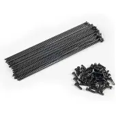 Eclat Pg Spaken En Tepels Kit 40 Eenheden