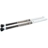 Öhlins Nix30a Ducati Desert X 2022-25 Fka 117 Set Vorkveren