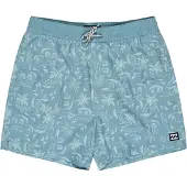 Billabong Vacay Zwembroek