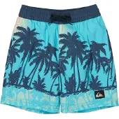 Quiksilver Everyday Printed Volley 13´´ Zwembroek