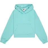 Roxy Surfing By Daylight Rg Hoodie