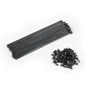 Eclat Pg Spaken En Tepels Kit 40 Eenheden
