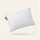 Presence Hoofdkussen - Luxury Dream 60 x 70 cm