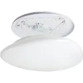 Eglo connect.z Sileras-Z Smart Plafondlamp - Ø 43 cm - Wit - Instelbaar RGB & wit licht - Dimbaar - Zigbee
