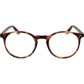 Taylor Morris Brilrand SW17 C2 48