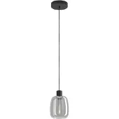 Eglo connect.z Molochio-Z Smart Hanglamp - LED - Ø 12,5 cm - Zwart/Smoke/Rookglas - Instelbaar RGB & wit licht - Dimbaar - Zigbee