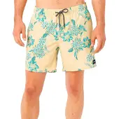 Rip Curl Sessions Zwembroek