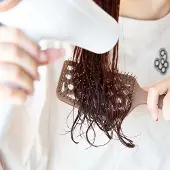 Framar Vent Brush
