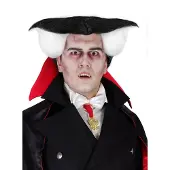 Maskworld Dracula Pruik Hochtoupiert