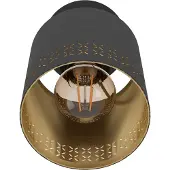 Eglo Zwarte Wandspot Esteperra